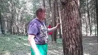 Уроки от Юрия Серебрянского. Битва при дереве.