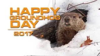 Punxsutawney Phil Sees His Shadow