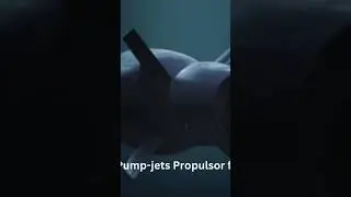Co-developing Pump-jets Propulsor for SSN Program