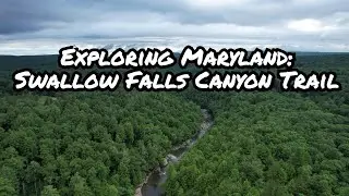 Exploring Maryland:  Surreal early morning ambiance at Swallow Falls Canyon Trail