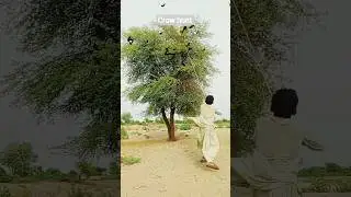 crow Hunt