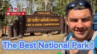 A Camping Adventure in Khao Yai the Best National Park in Thailand 🇹🇭 2025 Part 1