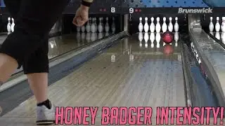 900 Global Honey Badger Intensity Teaser!