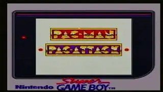 Pac-Man: Special Color Edition on the Super Game Boy (FC Twin Capture through OBS Studio)