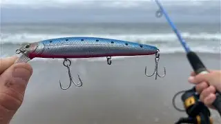 Striper & Perch SMASH the Lucky Craft &mdash; Epic California Surf Bite!
