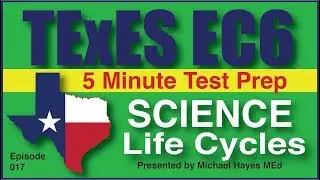 TExES EC-6 Science Life Cycles, Episode 17 [Free Test Prep]