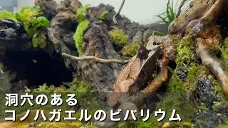 【総集編】素材集めから完成まで。レプテリアクリアネオテラリウム制作一気見！【ゆっくり実況】
