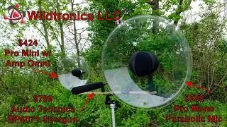 Parabolic Microphone Comparison Tests