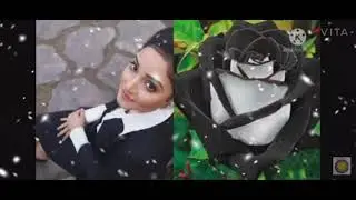 Our cute Sritama(Bicchu) and rare roses💖💖🌹💖💖