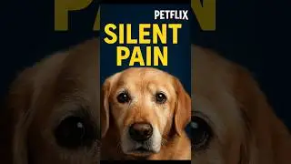 The 5-Second Struggle You&rsquo;re Missing Today 🐾 #petflix #pets