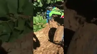 TRAVAIL DU SOL