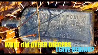 City Bottle Digging- 