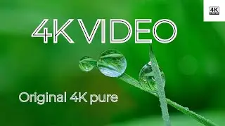 Real 4K video 60 FPS ￼ 4K pure content ￼ nature, sound and video
