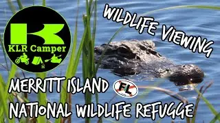 Visiting Merritt Island National Wildlife Refuge