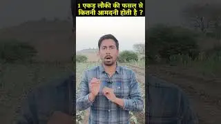 1 एकड़ लौकी की फसल से कितनी आमदनी होती है ? How much income is earned from 1 acre of gourd crop ?
