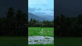 Onam Days in Kerala #kerala #travel #palakkad #shortsvideo