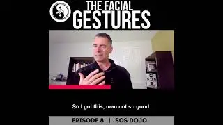 SOS Dojo: How To Interpret Facial Gestures: What Do They Mean?
