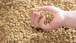 Harness advanced pellet function in this pet food making machine for efficient dog food processing