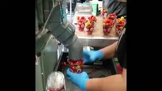 Branding and grading of tomatoes for packaging