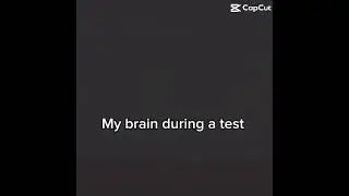 My Brain During A Test #capcut #memes #funny #gru