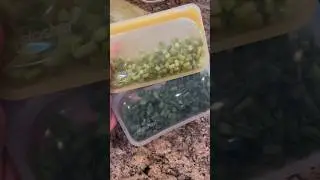 do this when you buy green onions!