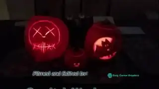 Laity Pumpkin Patch