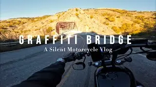 Ride to Graffiti Bridge on my Harley Davidson | A Silent Motovlog