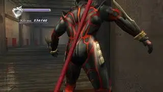 NGB Master Ninja Karma Run Chapter1 ( 710,230)  Player: Burning Leaf