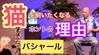 猫を飼いたくなるホントの理由（バシャール）| Why you are attracted to cats (Bashar)