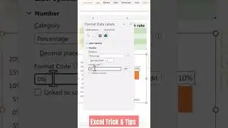 Infographic Graph Excel