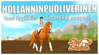 Hollanninpuoliveriset | SSO Suomi