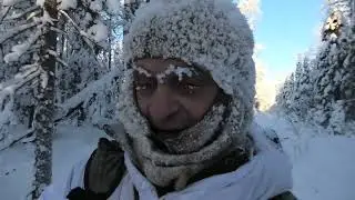 2 февраля 2026 г. Две новых фотоловушки меня порадовали в мороз, заодно прогулялся.