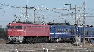 【あゝお召機の輝きよ】 EF81 81 牽引 客車急行列車上野行き