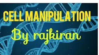 Cell manipulation