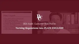 BSA Audit: Customer Risk Profile