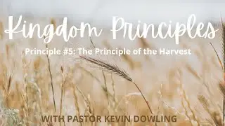Desert Stream Christian Fellowship Live Stream