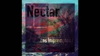 Les Impromptus - Let's groove on the block
