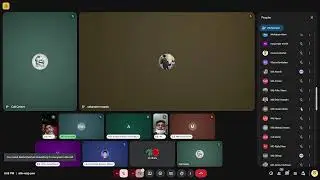 Daily Seba Foundation Live Stream