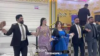 نيشان بعدري قاعه هانوفر 11-10-2025-