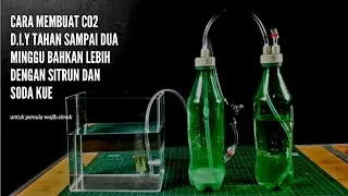 Cara mudah membuat CO2 DIY & rangkaiyan botol DIY cisod hanya tiga sendok makan kuat seminggu lebih