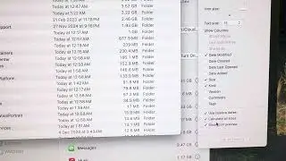 How to free up System Data space on Mac Sequoia and find big files to delete!!