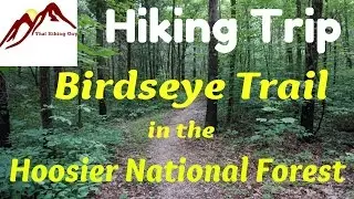 Hiking the Birdseye Trail in the Hoosier National Forest
