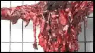 Kreator  -  Violent Revolution