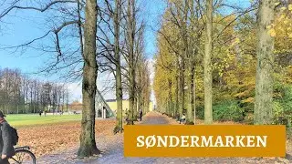 S&oslash;ndermarken Copenhagen | Awesome things to do in Copenhagen