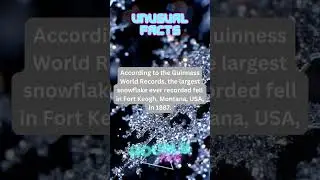 Unusual Facts #shorts #facts #unusual #unusualfacts #education #subscribe