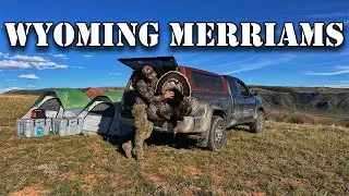 Late Season Wyoming Merriam's. Turkey Hunting Public Land In Wyoming.