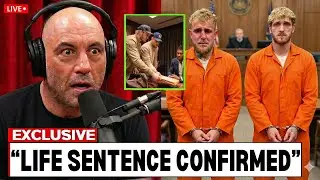 Joe Rogan Reacts to Jake Paul and Logan Paul's Life Sentence For Scripting Anthony Joshua Fight