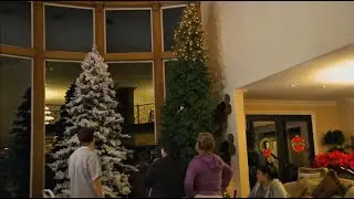 I Love Jenni - Capitulo 3 (El &Aacute;rbol Perfecto) Temporada 2