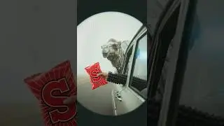 S MAN  Сон