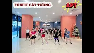 StepHi- APT | FOXFIT